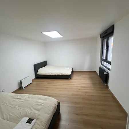 106 Route De Mittelhausbergen 度假居 斯特拉斯堡